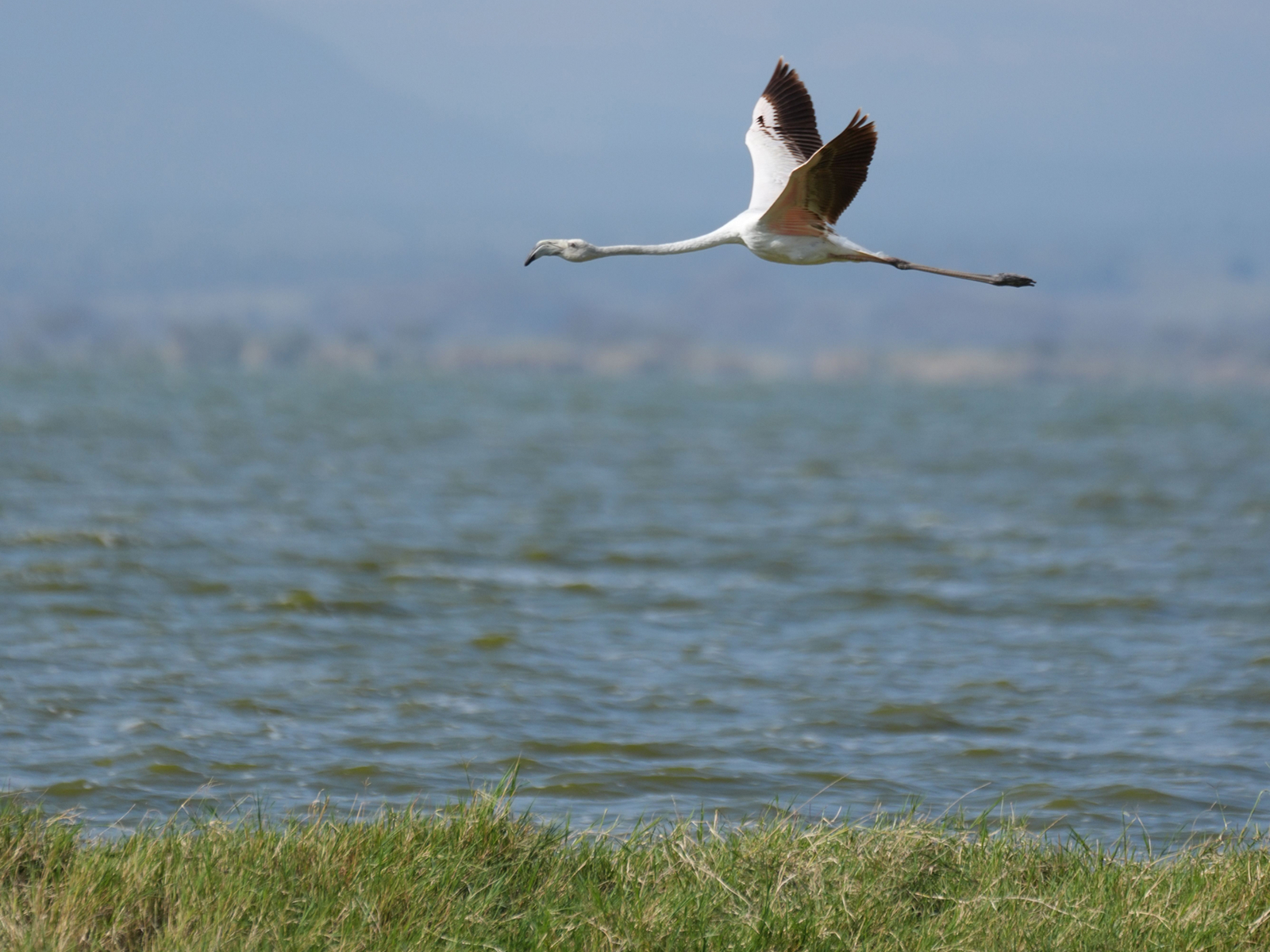 Naivasha, Kenya