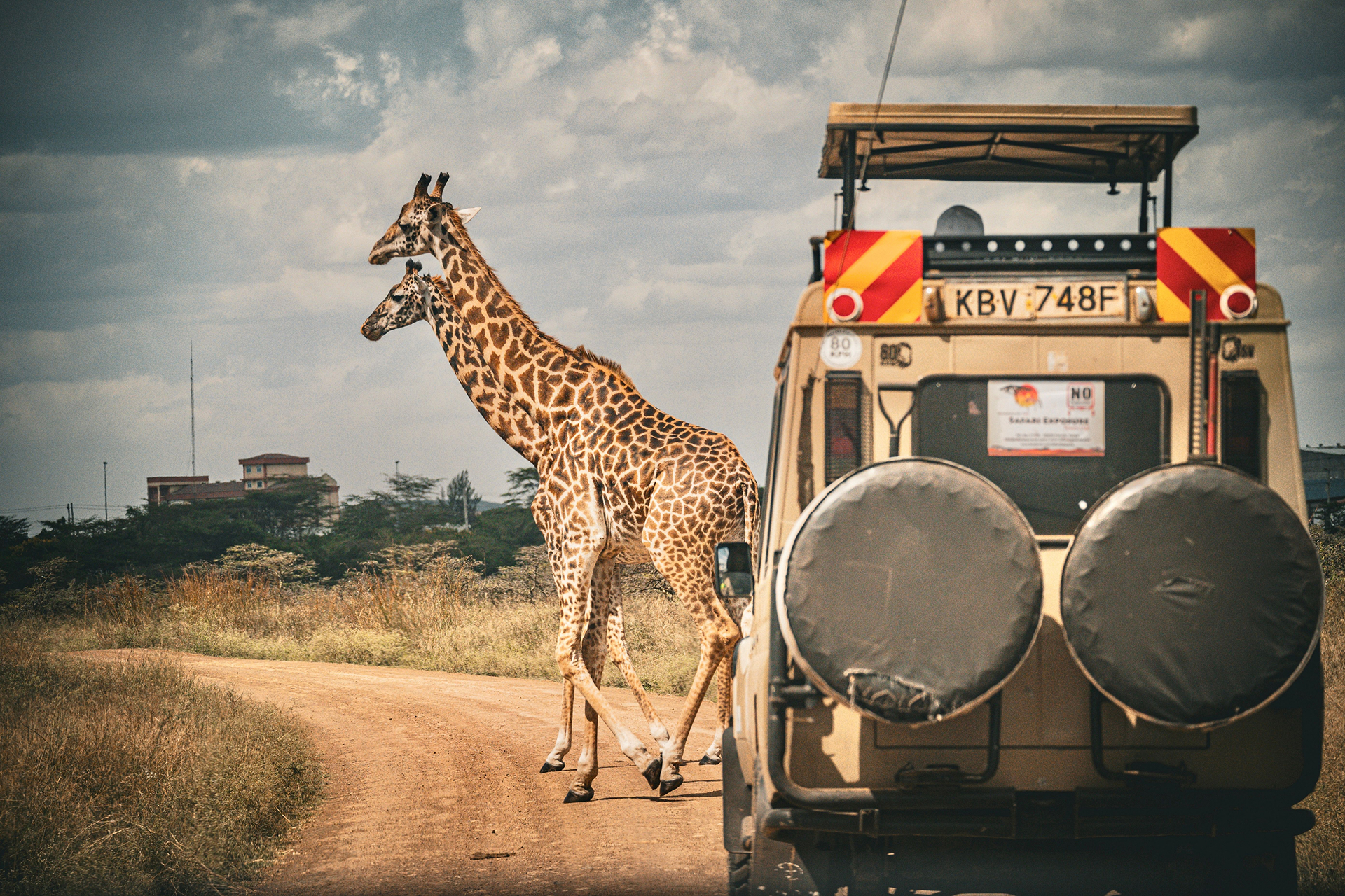 Game Drive, Kenya