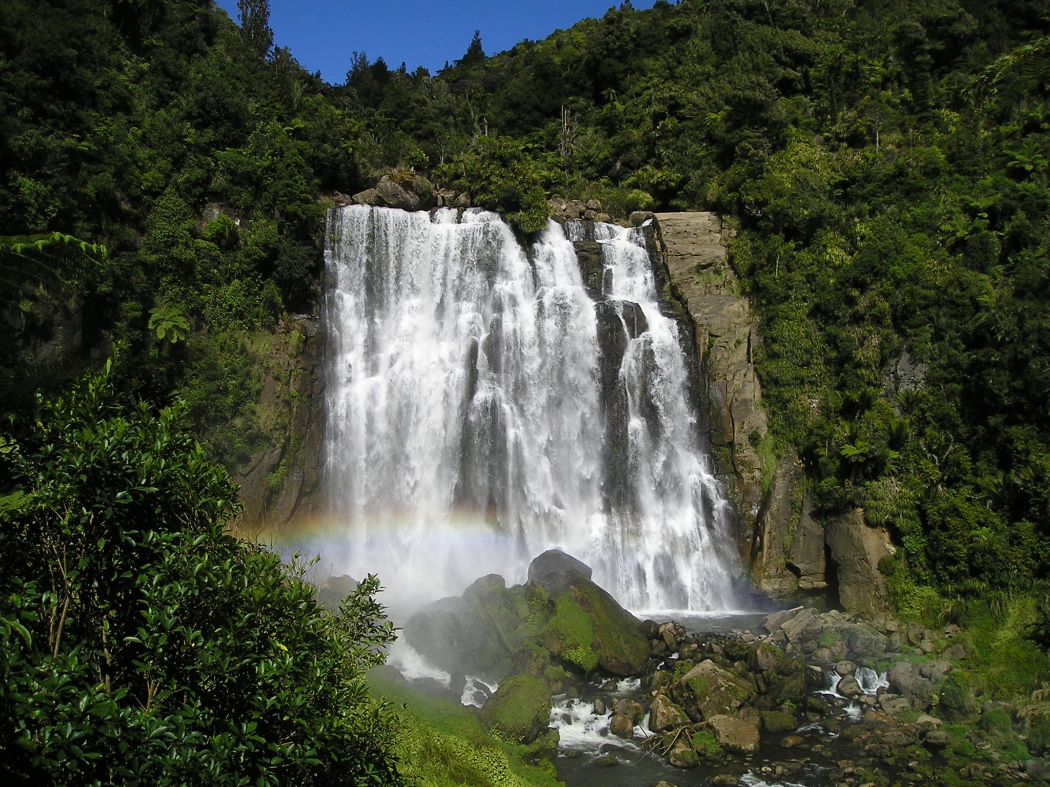 New Zealand landscape