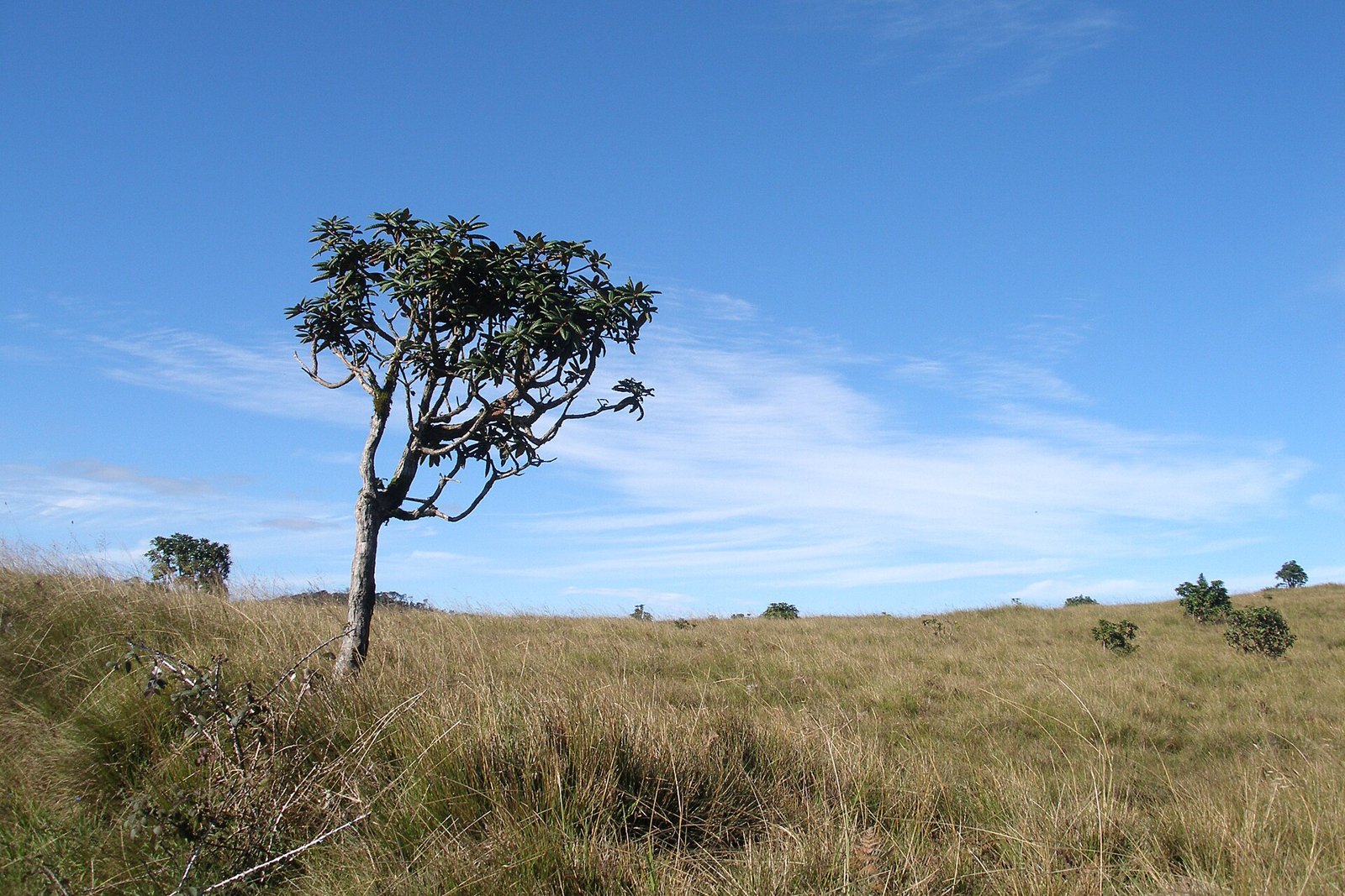 Horton Plains, Sri Lanka