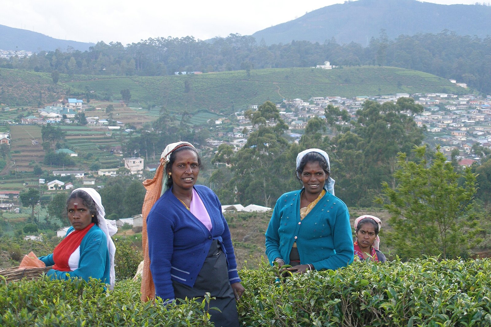 Nuwara Eliya, Sri Lanka