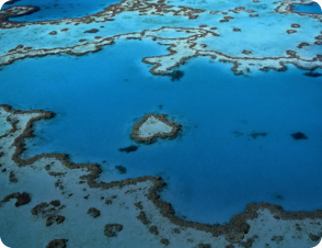 Australian cities and coral reef journey